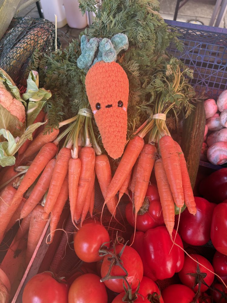 A knitted carrot among bunches of real ones